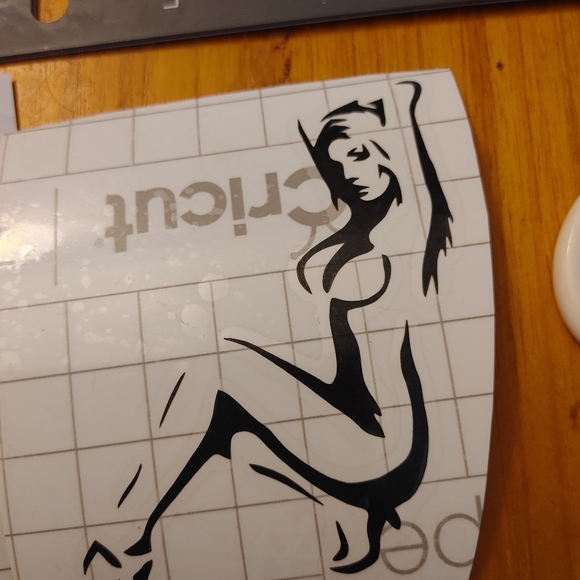 Decals - Picture 11 of 12